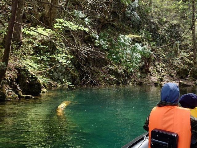 �L���C�ȓ���]_�\�a�c�΃p���[�X�|�b�g�N���[�Y