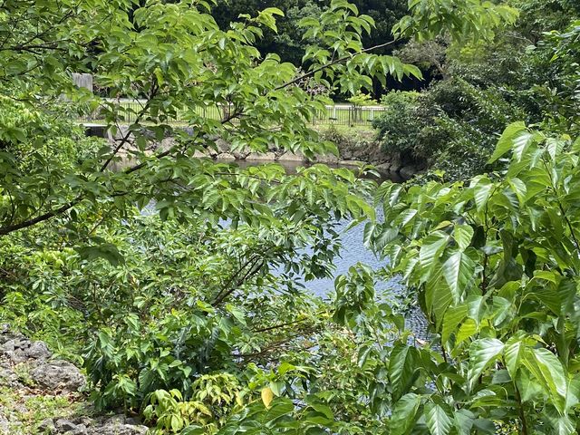 �Ðh�F����̑吳�r�����̓��e�ʐ^3