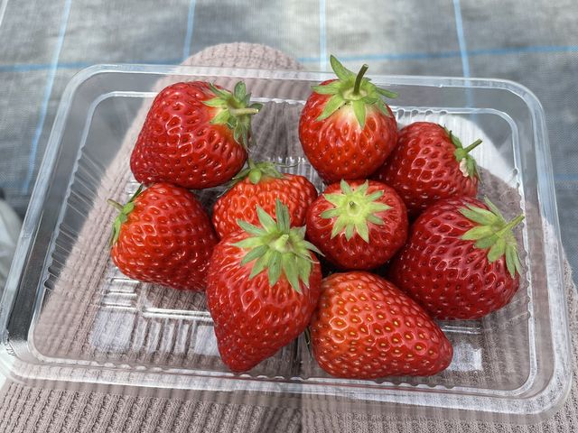 Ђ߁Agق؁A悢P3iy߂܂
ǂ̕iYő嗱ŔI_C`Sx[X