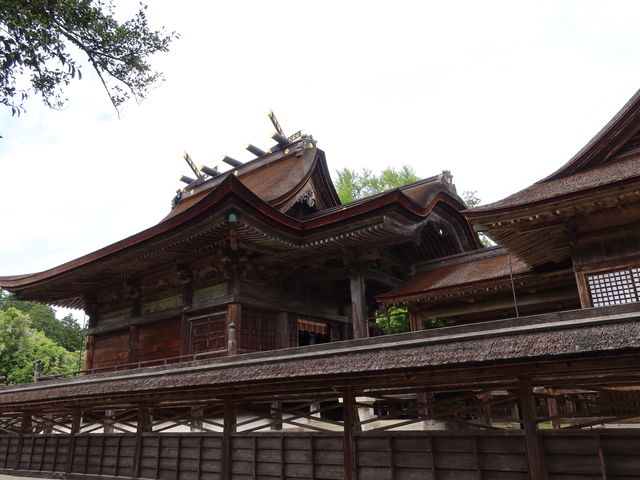 yosshy̒R_ЁiRÎRsj̓eʐ^3