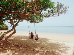 ̃IIΊ_GRcA[ւ̓eʐ^1