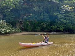 ̃IIΊ_GRcA[ւ̓eʐ^2