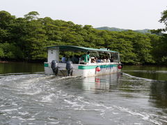 itohƂ̐Ί_h[όւ̓eʐ^1