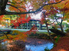 䂫̒Os䔄_Ђւ̓eʐ^1