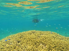 ��������̉���}�����A�N�e�B�r�e�B�p�[�N������ւ̓��e�ʐ^1