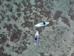 ��������̉���}�����A�N�e�B�r�e�B�p�[�N������ւ̓��e�ʐ^2