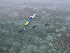 ��������̉���}�����A�N�e�B�r�e�B�p�[�N������ւ̓��e�ʐ^3