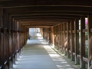 yosshy̋gÐ_Ђ̓eʐ^2