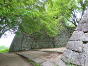 yosshy̒ÎR(ߎR)̓eʐ^1