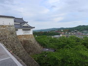 yosshy̒ÎR(ߎR)̓eʐ^2