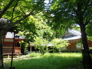 �}�C�a�n�n����͍̉����̓��e�ʐ^2