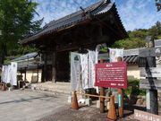 yosshy̒aiRvē쒬j̓eʐ^1