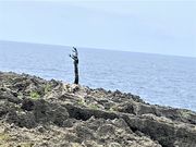 ÐhF̐͑aԗ쓃̓eʐ^3