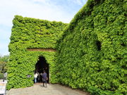 yosshy̑q~ACr[XNGA̓eʐ^1