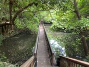 �Ðh�F����̑吳�r�����̓��e�ʐ^2