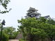 yosshyさんの岡山城への投稿写真3