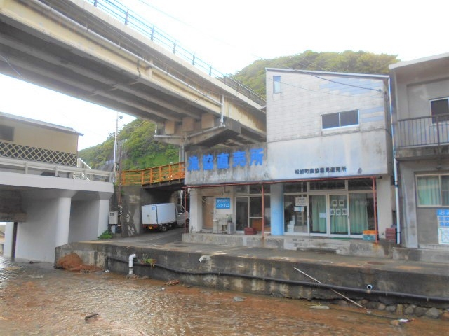 �_���n��