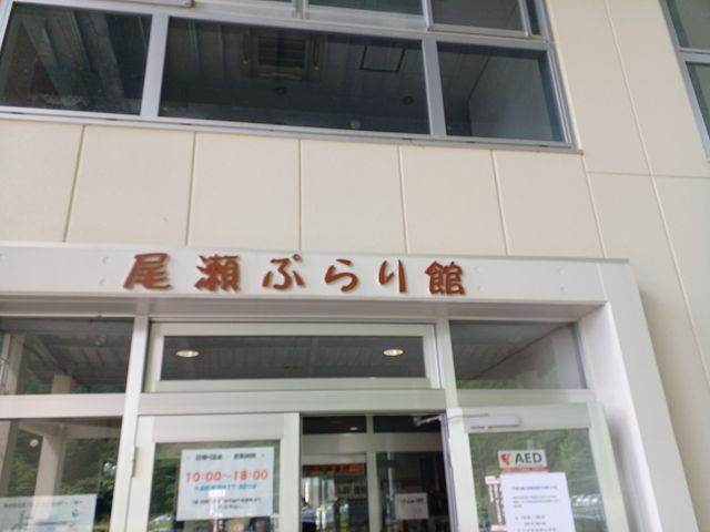 �����t��_��������