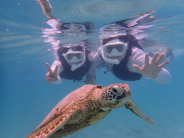 �E�~�K������ɕ������������������ł��I_Reeftour HONEY