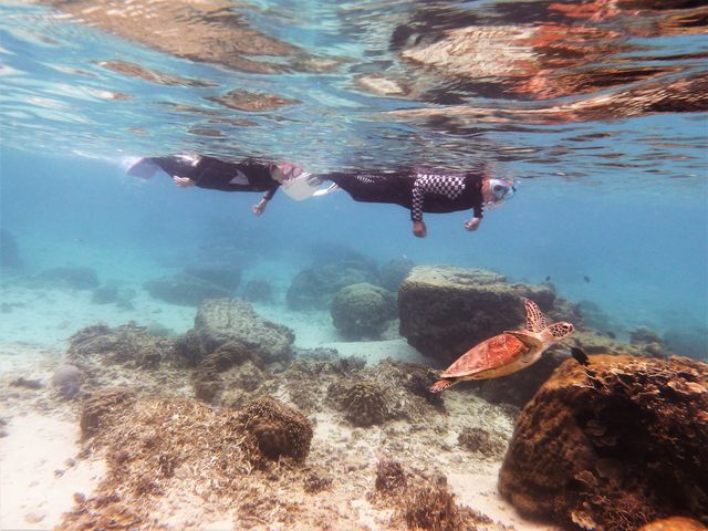 �E�~�K���Ƌ��ɁB_��g�ݐؐ�墊C�̗V�я��@�Ȃ��䂭���