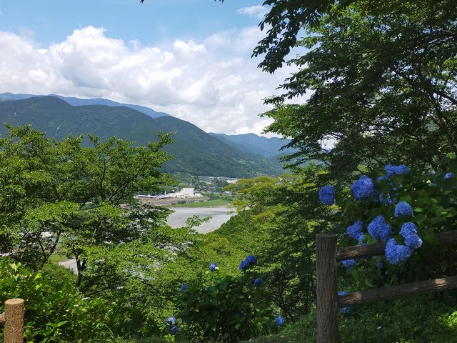 �W�]�䂩��̌i�F_���ԂȌ����̂�������