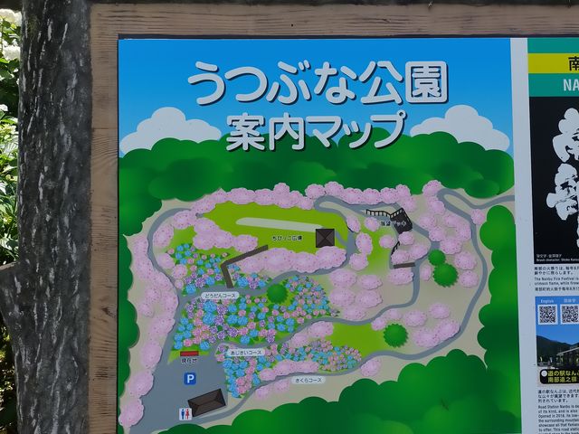 �����ڂ�����̂��ԂȌ����̂��������̓��e�ʐ^5