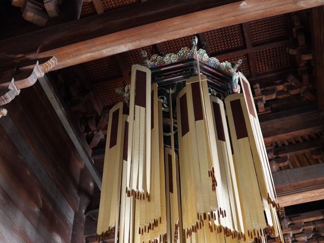 ����_������