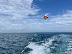 ܂݂Parasailing NOAւ̓eʐ^1