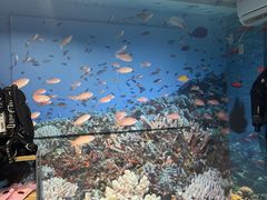 ̈ɓ_CrOXN[aJXւ̓eʐ^1