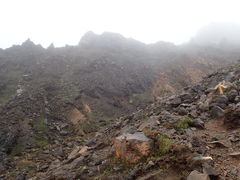 }Cann̈hxΌihRjւ̓eʐ^1