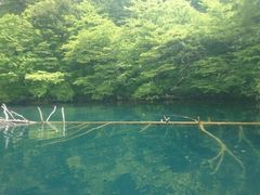 }C̏\ac΃p[X|bgN[Yւ̓eʐ^1