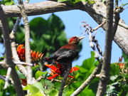 kazu񂳂̂΂wт̐X̓eʐ^2