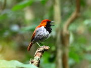 kazu񂳂̂΂wт̐X̓eʐ^3