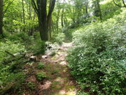 }Cann̍䎩RTH̓eʐ^1