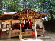 yosshŷƂ肳܂̓eʐ^4