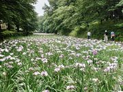 yu]cyan̐ԖxԂ傤ԉ̓eʐ^3