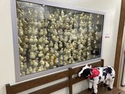 yosshỹ`[YH[NEEDS̓eʐ^3