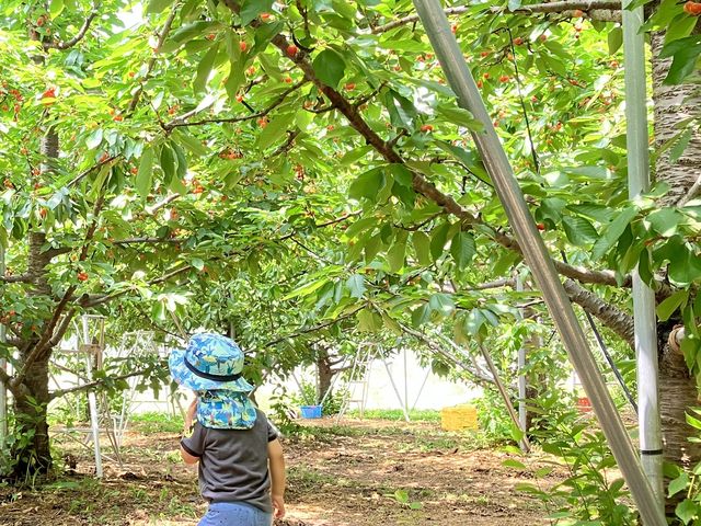 �܂����N���s������(�mv`)_������