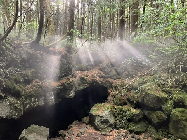 �x�m�����ƌ��_�A�E�g�h�A�̌� in �x�m�R�[ FUJI HAT