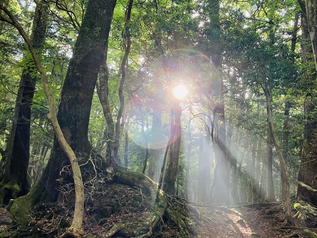 ���C�̌��_�A�E�g�h�A�̌� in �x�m�R�[ FUJI HAT