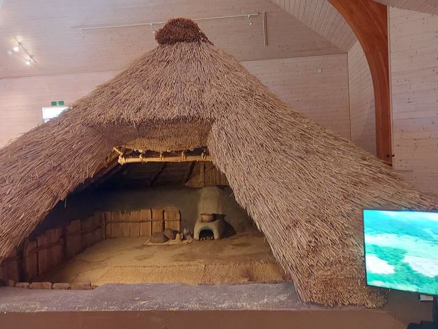 �{�ݓ��̃��v���J_�k�l���