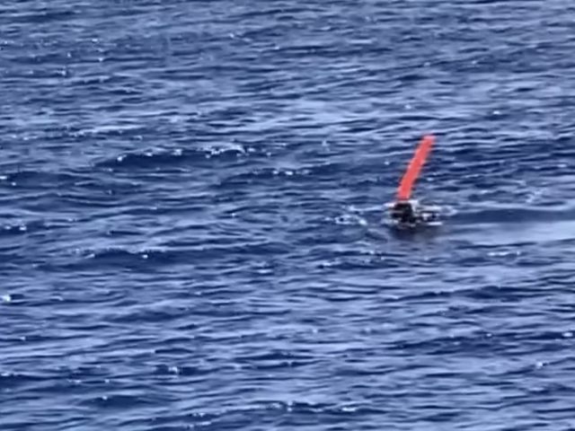 �V�O�i���t���[�g�ł��B�͂��ꂽ�Ƃ��ɋ��ꏊ��m�点�邽�߂̐Ԃ����D�ł�_�W���C�N���G�C�g���� �e�B�[�_