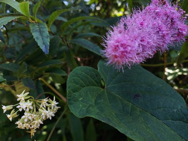 ��Ղ܂ŕ����r���A�Ԃ��炢�Ă܂���_�k�l���