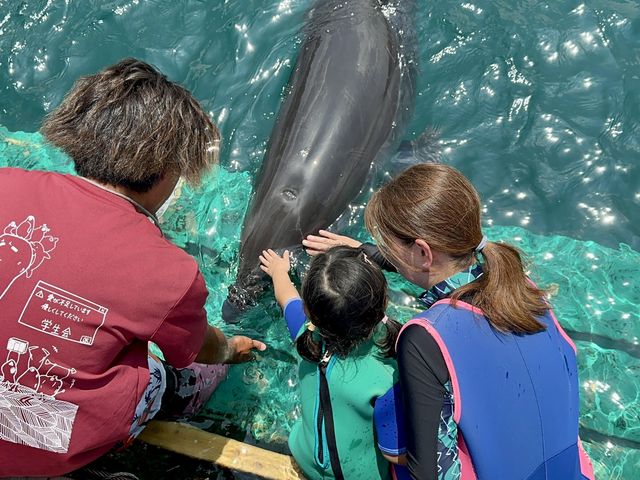 �C���J����Ƀ^�b�`_�h���t�B���x�F�C�X