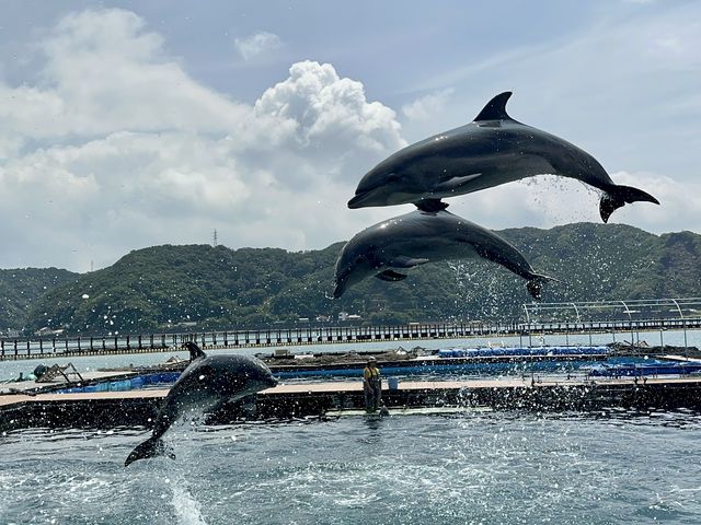 �ԋ߂ő�W�����v_�h���t�B���x�F�C�X