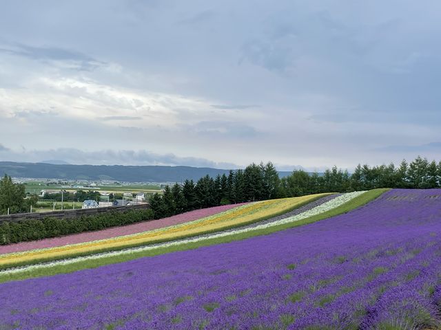 �O���f�[�V�������Y��_�D�y�ʉ^�N���u�Q�b�c