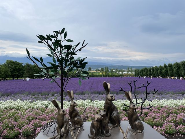 ���Ԕ�_�D�y�ʉ^�N���u�Q�b�c