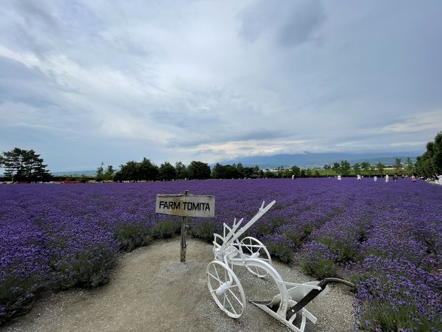 ���x���_�[��_�D�y�ʉ^�N���u�Q�b�c