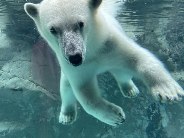 ���낭�܁@��߂����_�D�y�ʉ^�N���u�Q�b�c