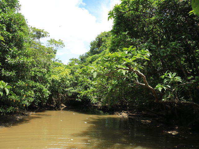 �V�C���ǂ����ł������A�؉A��i�ނ̂ł����܂ŏ����������܂���ł����B_summer����܁[